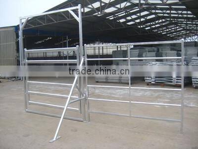Welded Square Tube Frame and Oval Rail Cattle Panel Gate (Standard Australia Fence)