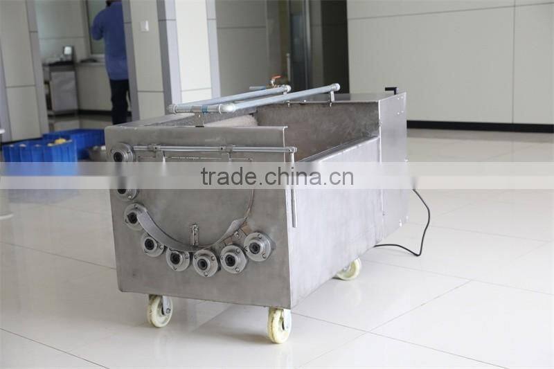 XCJ Series Commercial Used Industrial Fruit Vegetable Washer With High Quality