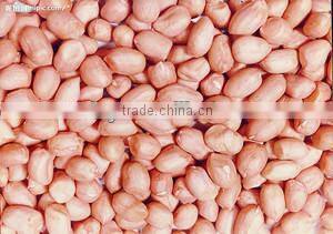 Soybean mini oil mill/mini oi press