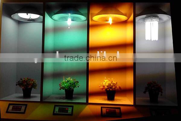 Little wattage Indoor lighting induction lamp celing light 40w