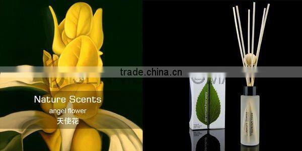 NS Nature Scents slender 60ml aroma diffuser