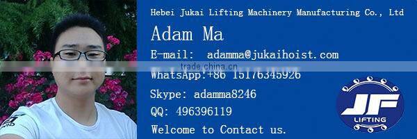 Used Construction Toyo Pulley Lift Chain Hoist Block