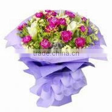 home use cryolipolysis machine for fat removal cryo machine