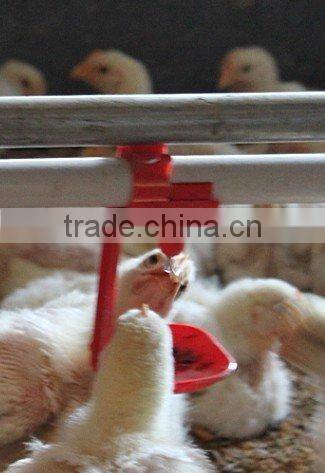 *broiler house farming equipment poultry cup drinker
