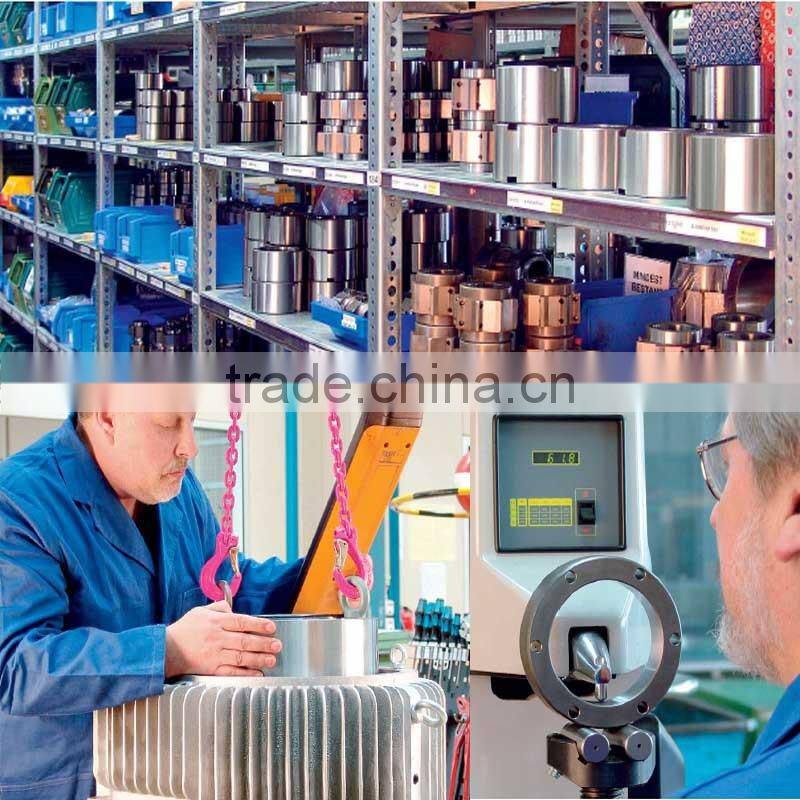 SL192306 full cylindrical roller bearings for generator