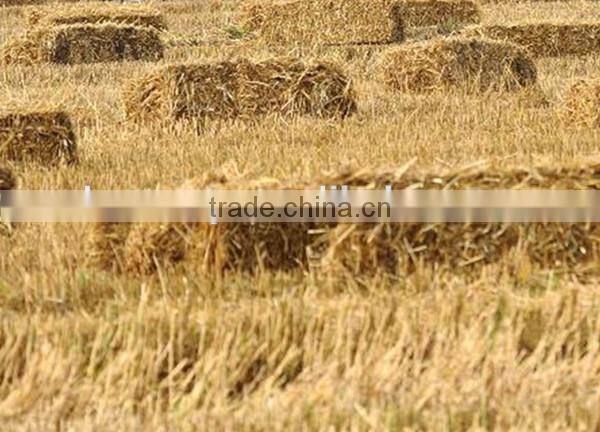 hot selling square shape rice straw baler for sale