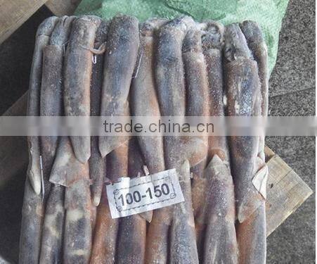 2016 Grade A Frozen illex squid 150g-200g for sale