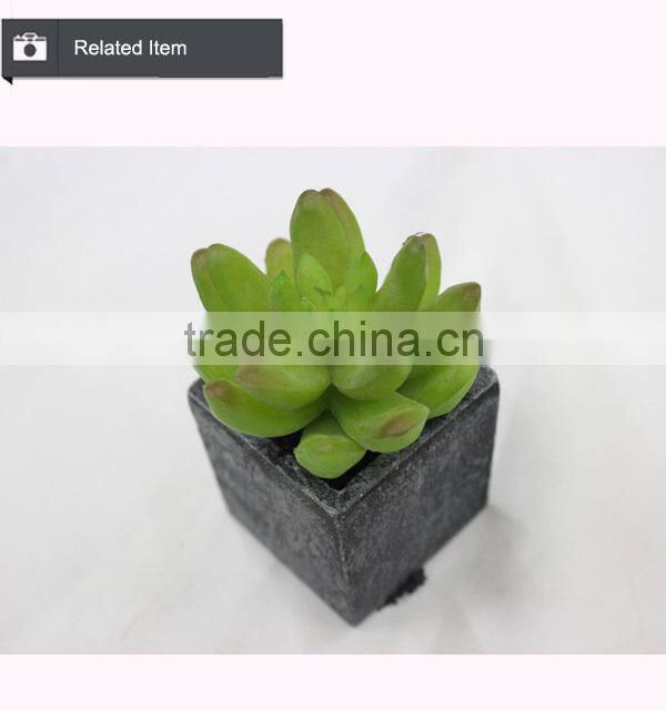 Cheap wholesale artificial succulent plants tropical plants