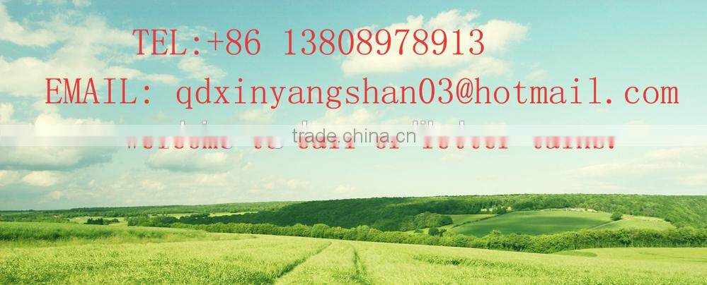 (HOT) TOMATO/TOMATOES/RED TOMATO