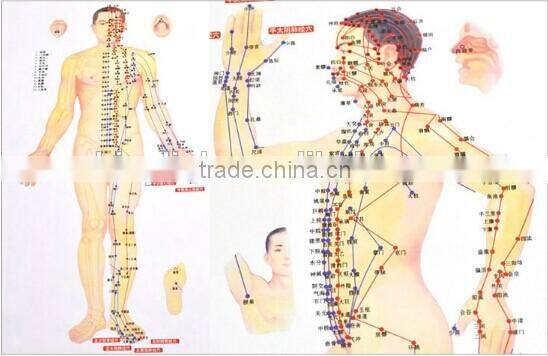 Chinese medical Acupuncture Charts points (Front, side, reverse side)