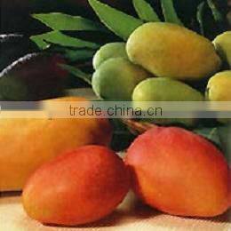 Lifelike Artifical Fruit For Decoration