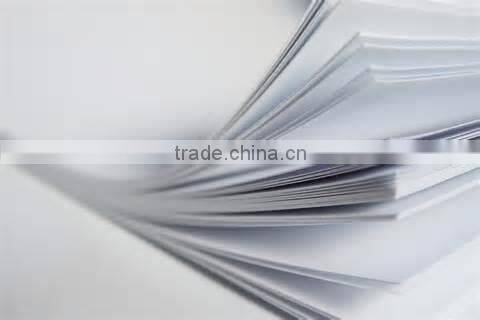 Cutting Apparatus for Tensile Tester