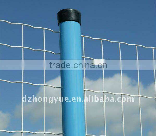 hot dipped galvanized welded wire mesh rolls
