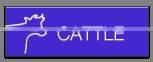 Cattle Slaughtering Equipment