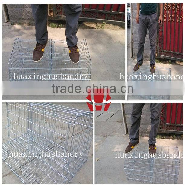 big factory, high quality used poultry battery cages for battery rabbit shed
