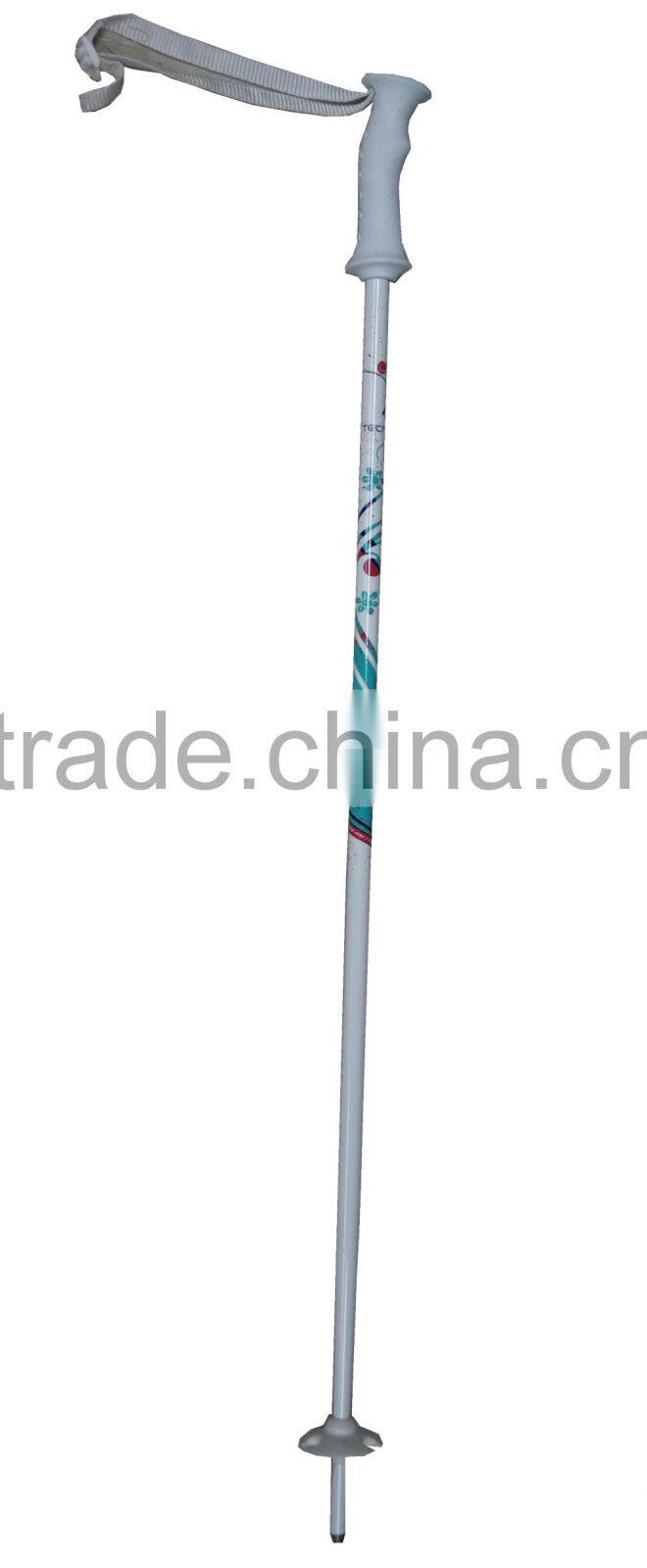 Professional 100% Carbon Fiber Ski Pole And Nordic Ski poles