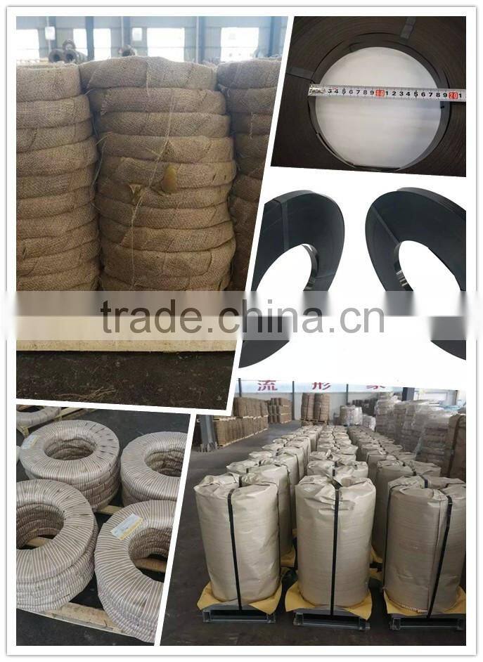 Black Painted Metal Strips / Strip