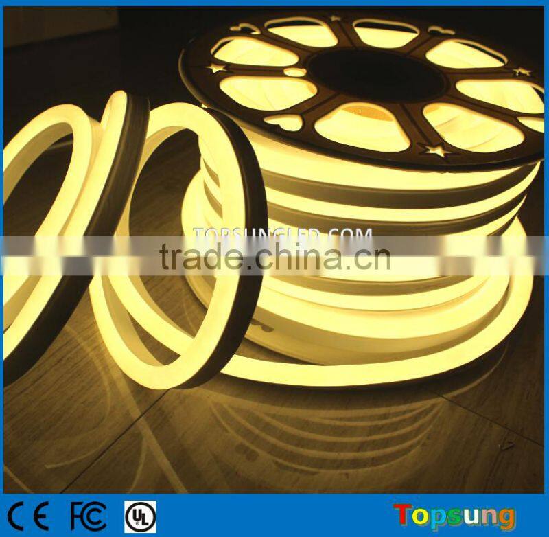 Trade assurance professional top view led neon tube factory