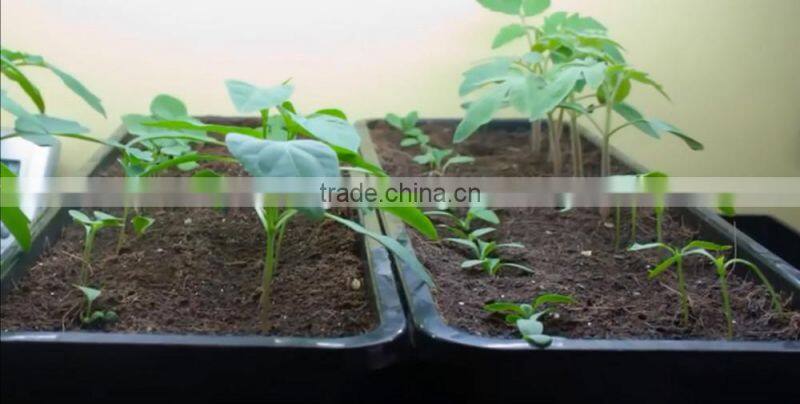 Plastic Seedling Nursery Tray