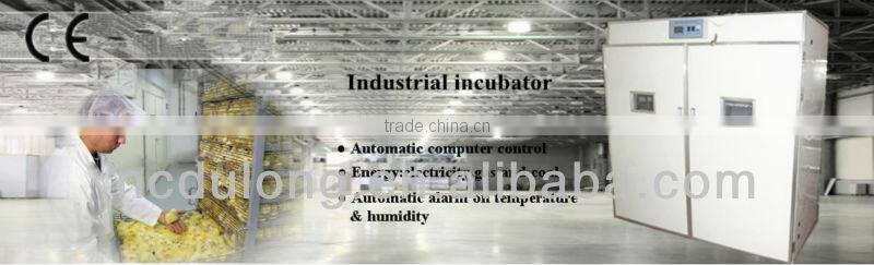 Fully automatic176 chicken egg incubator with cheap price