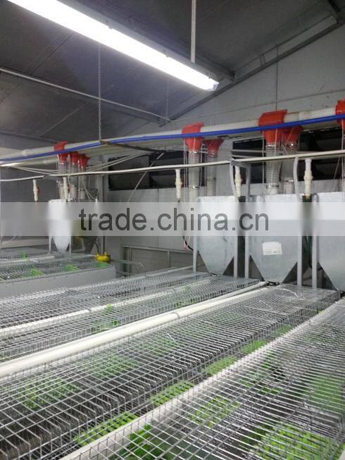 automatic rabbit equipment