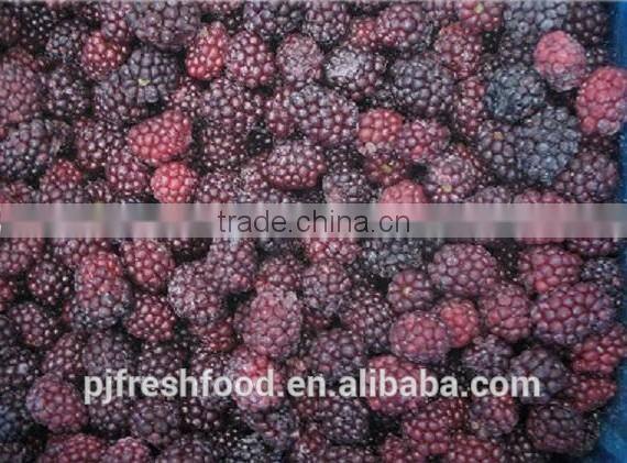 IQF Strawberry Frozen Fruit/Wholesale Frozen Fruits