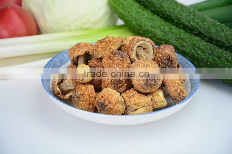 100% Natural Organic Tricholoma Matsutake,fungus of larch,Songi beoseot