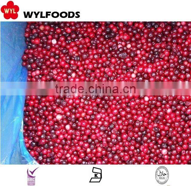 china good price for frozen lingonberry