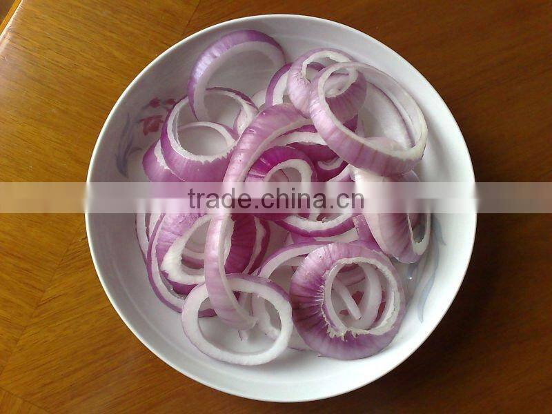 10*10mm iqf onion dice