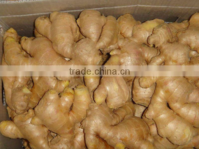 Fresh air dry ginger