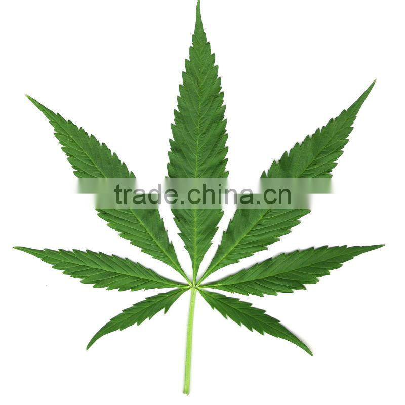 100% Natural Evening Primrose Oil GLA 10% Top Quality