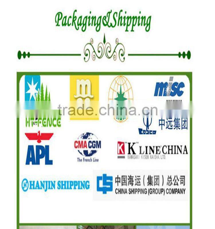 Hot Dip Galvanize Tandem Caged ATV Box Trailer