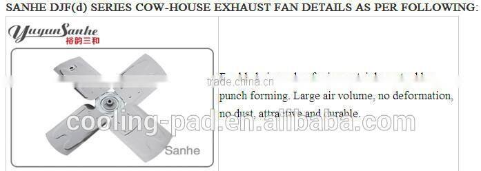 Dairy farming cows fan