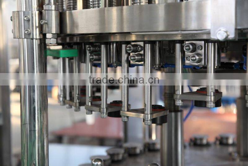 Snow Beer Glass Bottle Filling Machine/Glass Bottling Machine/equipment