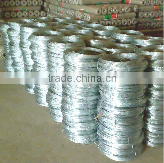 2013 Autumn Canton Fair 16.3H05 ISO900:2001 High Tensile BWG8-36 Galvanized Bag Closing Wire