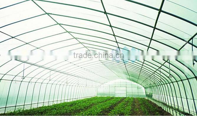 Plastic Film Greenhouse for Africa Area