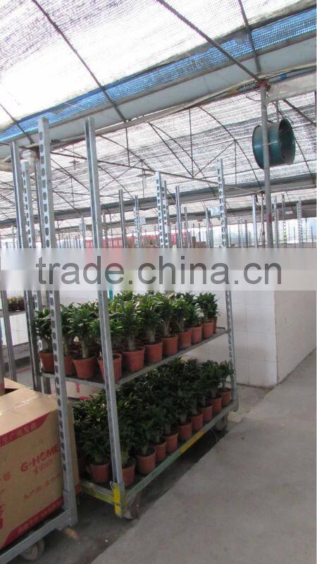 A22 Danish flower&plant display trolley carts