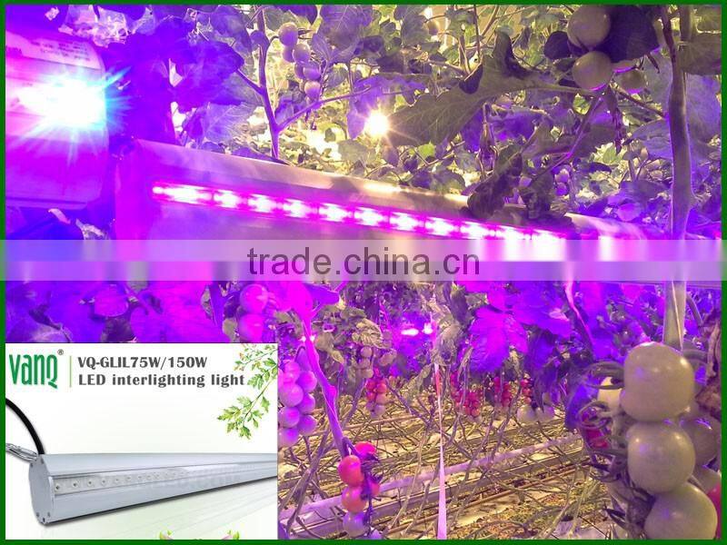 Modern agricultural equipments interlight grow light bar for cucumber greenhouse grow waterproof