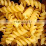 Automatic macaroni italy pasta/spaghetti pasta machine 86-15553158922 skype:sherry1017929