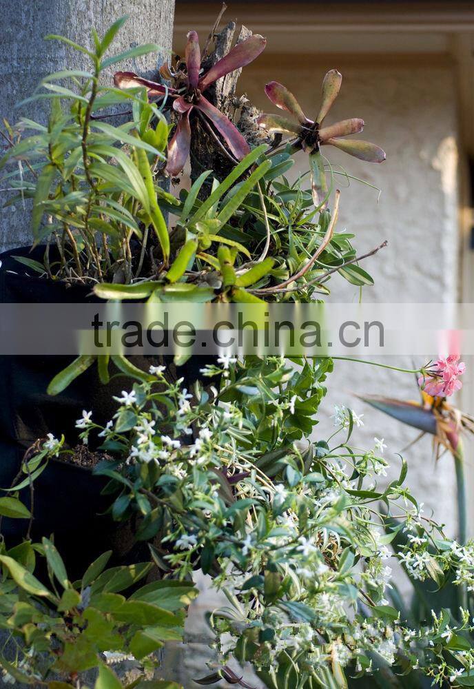 High Quality Vertical Wall Garden Pots,Indoor Planter,Wall Mounted Flower Pot,Wall Mount Planter