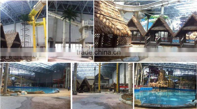 landscape tropical tree project big tree supplier