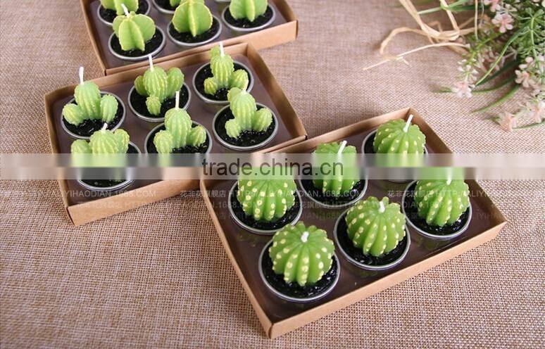 Cactus and Grape Plant Birthday Scented Candle