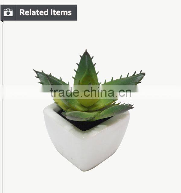 Customized design sweet desert rose for table decoration