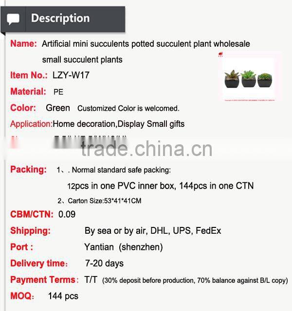 Artificial mini succulents potted succulent plant wholesale small succulent plants