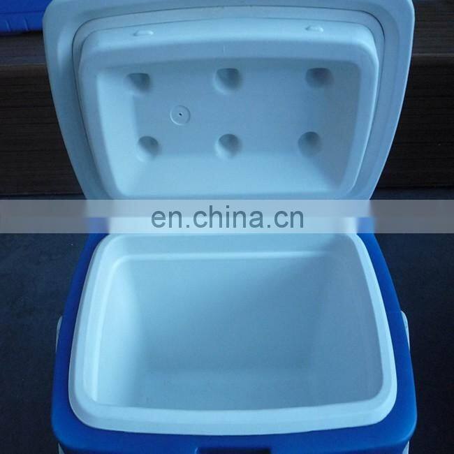10L Car Cooler/Warmer Fridge Plastic Box for Picnic