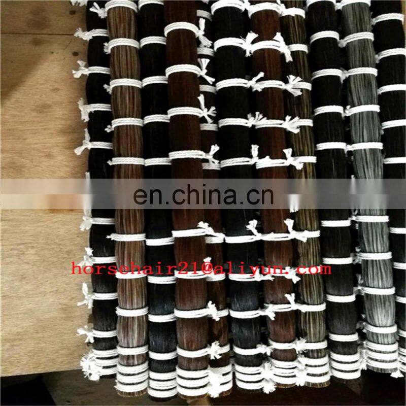 horse tail equestrian