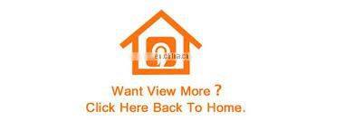 Tianjin Shisheng Hot Sale Galvanized Adjustable Scaffolding Shoring Steel Props