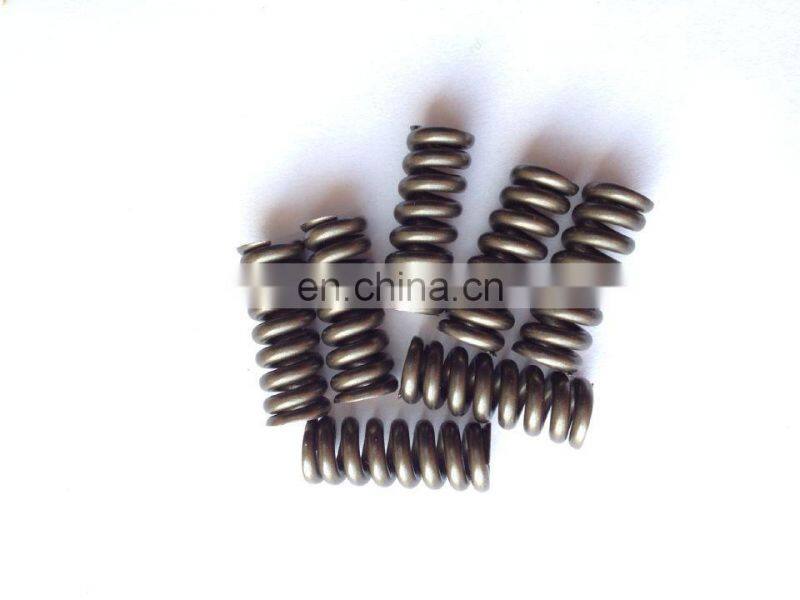Fuel common rail injector spring 2434614020, 2434614010 ,2434614027, 2434619040, 2434619017