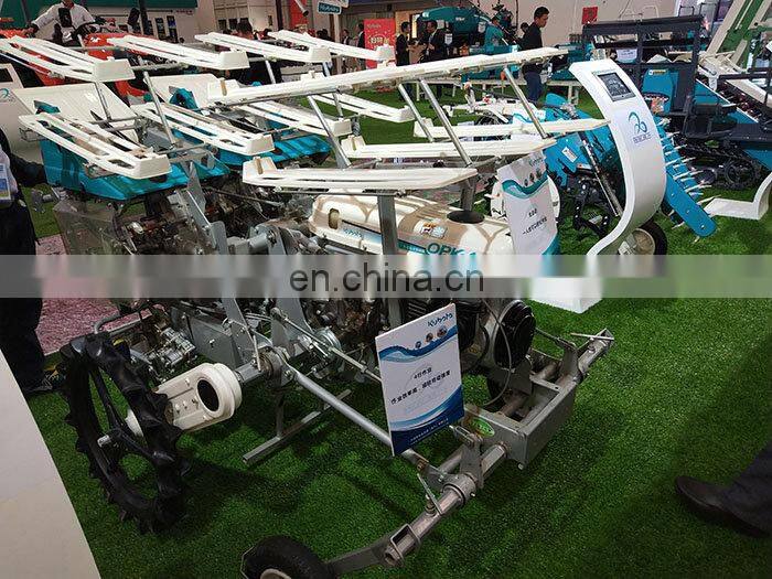 2.1KW mini Onion transplanter machine