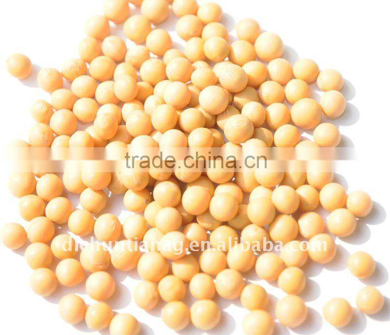 Chinese Non GMO Organic Soybeans